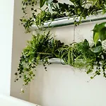 Wake Up Wellness By Goodnite Cz
