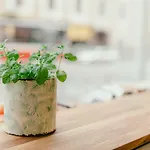 Wake Up Wellness By Goodnite Cz Vandrarhem Brno