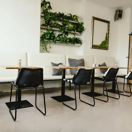 Wake Up Wellness By Goodnite Cz Brno
