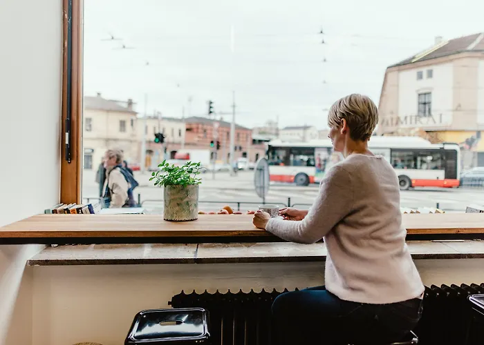 Wake Up Wellness By Goodnite Cz * Brno