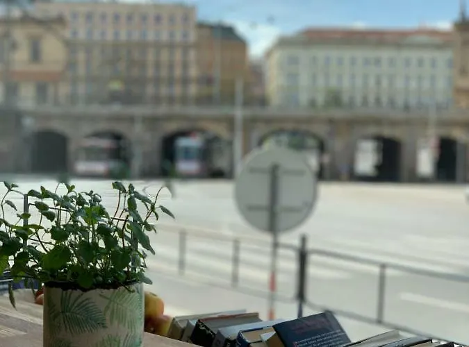 Wake Up Wellness By Goodnite Cz Brno