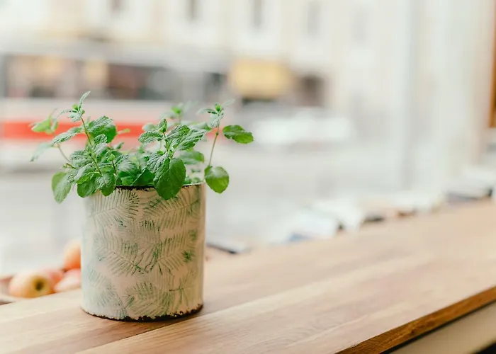 Wake Up Wellness By Goodnite Cz Hostel Brno
