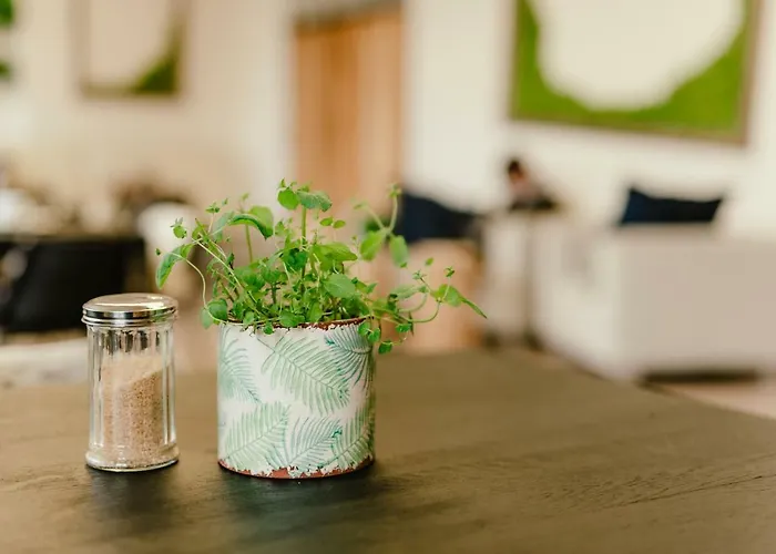 Hostel Wake Up Wellness By Goodnite Cz Brno