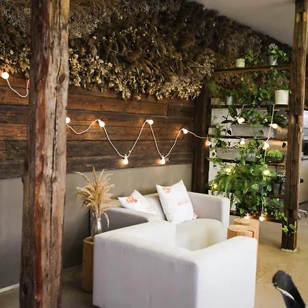 Wake Up Wellness By Goodnite Cz