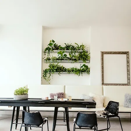 Wake Up Wellness By Goodnite Cz Ostello *