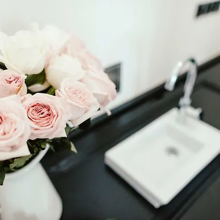 Wake Up Wellness By Goodnite Cz *