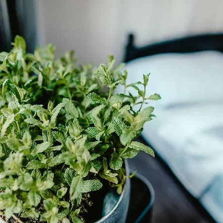 Wake Up Wellness Brno