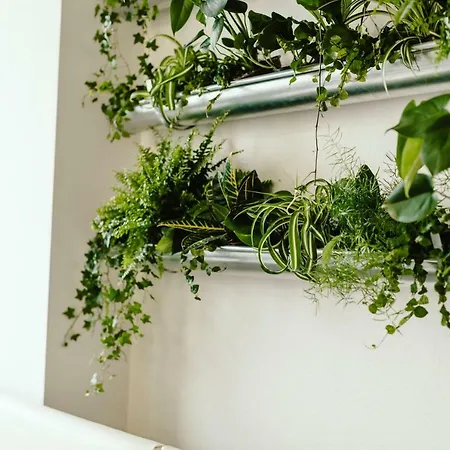 Wake Up Wellness By Goodnite Cz