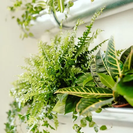 Wake Up Wellness By Goodnite Cz Хостел *