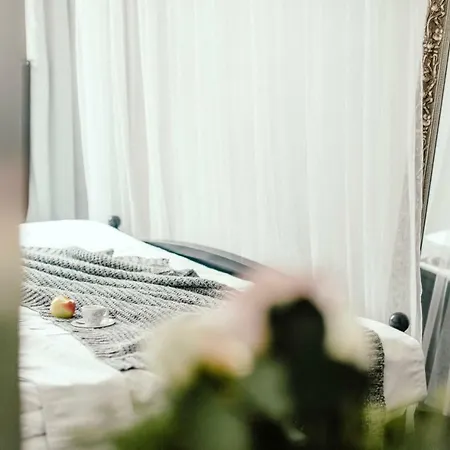 Wake Up Wellness By Goodnite Cz