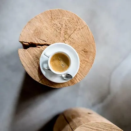 Wake Up Wellness بيت شباب برنو