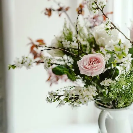 Wake Up Wellness By Goodnite Cz