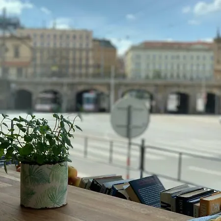 Wake Up Wellness Brno