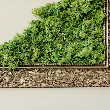 Wake Up Wellness By Goodnite Cz *