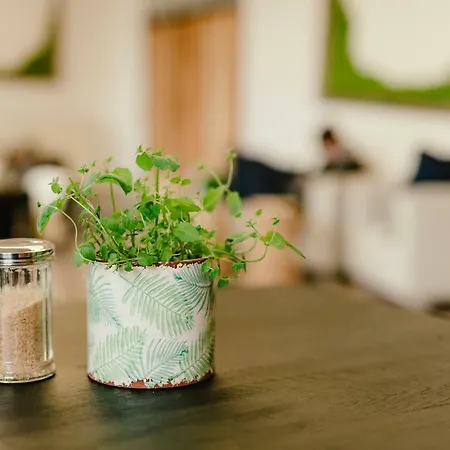 Хостел Wake Up Wellness By Goodnite Cz Брно