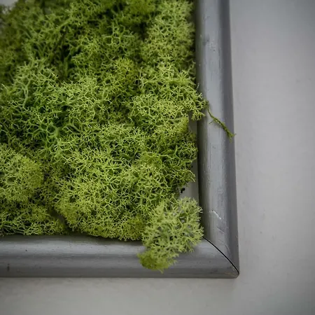 Wake Up Wellness By Goodnite Cz Хостел