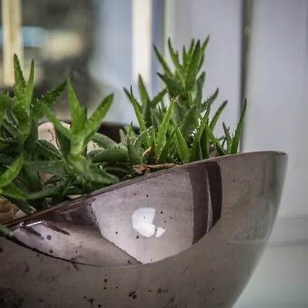 Wake Up Wellness By Goodnite Cz *