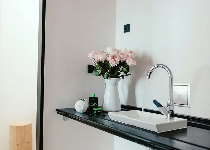 Wake Up Wellness By Goodnite Cz Hostel Brno