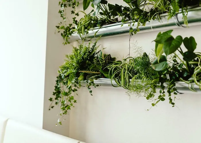 Wake Up Wellness By Goodnite Cz